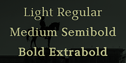 Gazi, a Serif Font by Fontuma (Thumbnail 3 of 12)