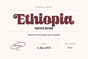 Moilenka - A Bold Retro Script, a Handwritten Font by Ainun Jinan (Thumbnail 8 of 12)
