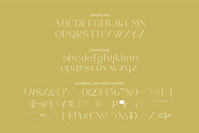 Brillant - Stylish Ligature Serif, a Serif Font by suhadidesign (Thumbnail 9 of 10)