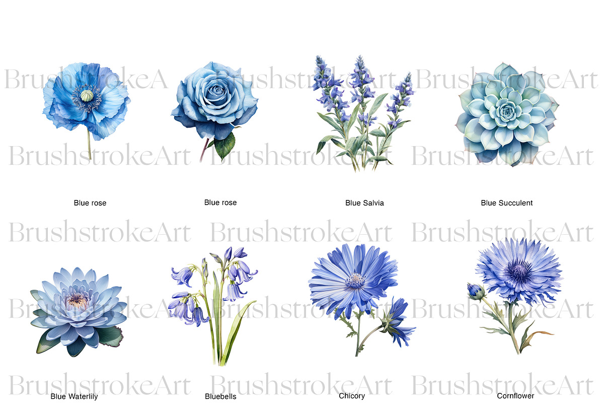 Blue Floral Clipart, Blue Roses PNG, a Decorative Illustration by BrushstrokeArtGB (Photo 3 of 9)