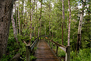 10 Landscape Lightroom Presets, a Preset Add-On by EzDigitals (Thumbnail 2 of 4)