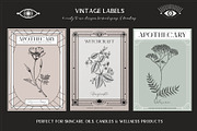 Vintage Apothecary Branding Bundle, a Healthcare Illustration by Yevheniia (Thumbnail 10 of 11)