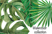 Amazonia. Tropical leaves, a Decorative Illustration by SaharaArt (Thumbnail 5 of 8)