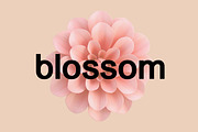 Forehands Rounded Elegant Sans Serif, a Sans Serif Font by UICreative (Thumbnail 4 of 13)