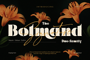 Bolmand Signature, a Serif Font by Burntilldead (Thumbnail 1 of 12)