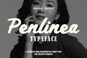 Penlinea Modern Brush Script Font, a Script Font by PutraCetol Studio (Thumbnail 1 of 5)