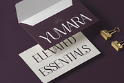 Cottera Modern Editorial Sans Font, a Sans Serif Font by Rasio Studio (Thumbnail 7 of 10)