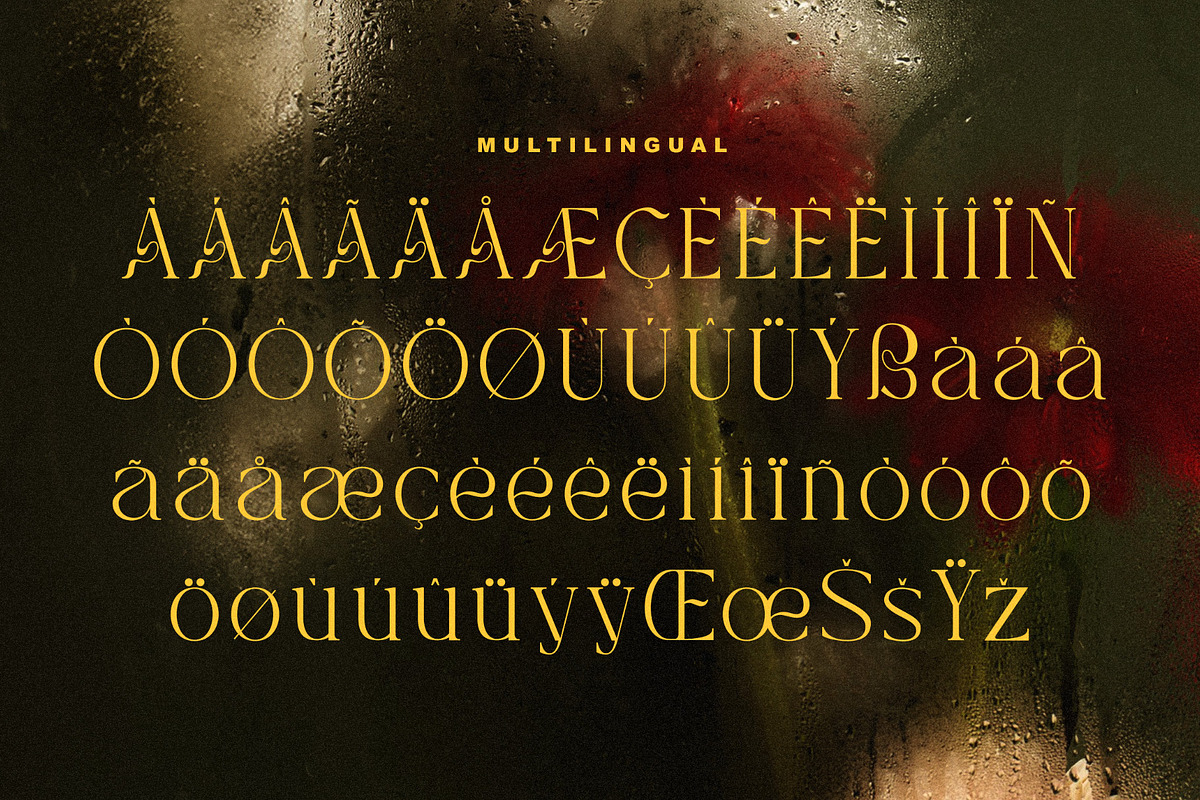 Clasima - Elegant Font, a Serif Font by Salamahtype (Photo 8 of 8)