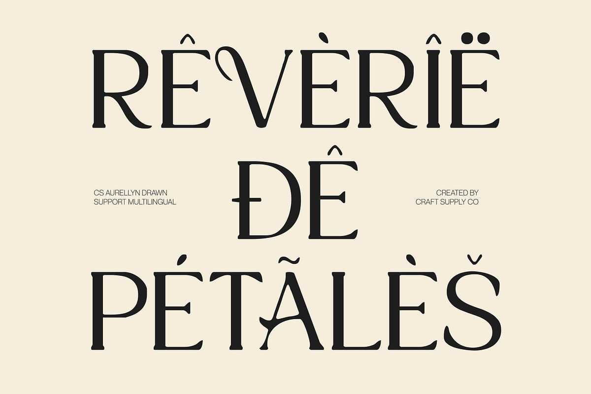 CS Aurellyn Drawn, a Serif Font by Craft Supply Co. (Photo 6 of 8)