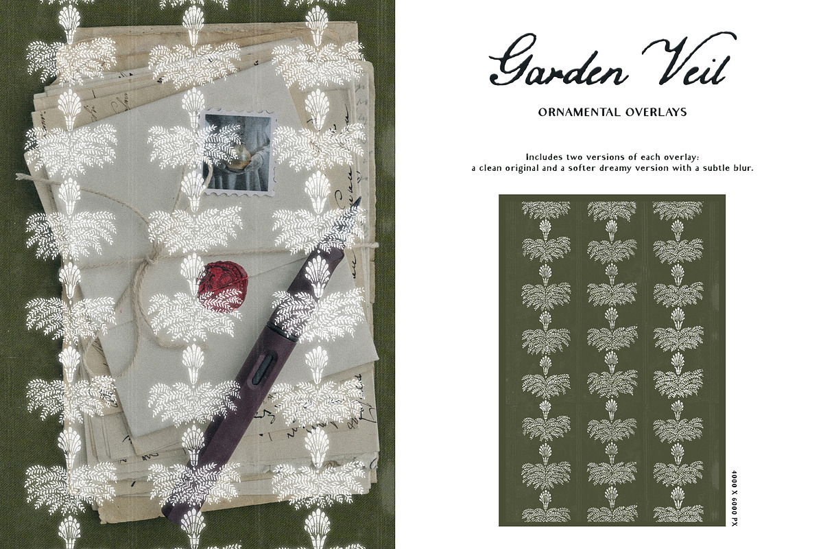 Garden Veil: Lace Overlays, a Texture Graphic by Purple (Photo 4 of 16)