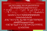 Magnolia Nocturne Editorial Serif, a Serif Font by timelesstype.co (Thumbnail 10 of 10)