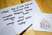 Watercolor sweets, a Food Illustration by miminoshka (Thumbnail 9 of 10)