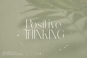 Stolen Love - Elegant serif typeface, a Serif Font by VP Fonts (Thumbnail 30 of 34)