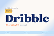 Dribble, a Serif Font by zeenesia (Thumbnail 1 of 19)