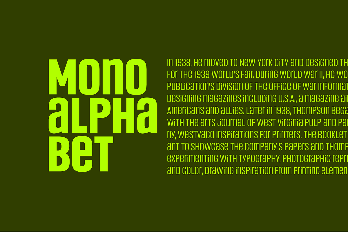 Headlines Unicase Font Family, a Sans Serif Font by TypeThis!Studio (Photo 12 of 26)