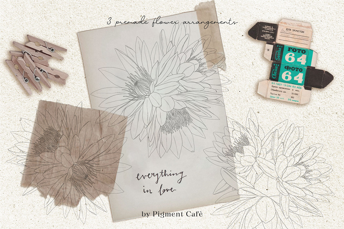 Lotus Blooms & Floral Arrangements, an Illustration by Pigment Café (Photo 3 of 3)