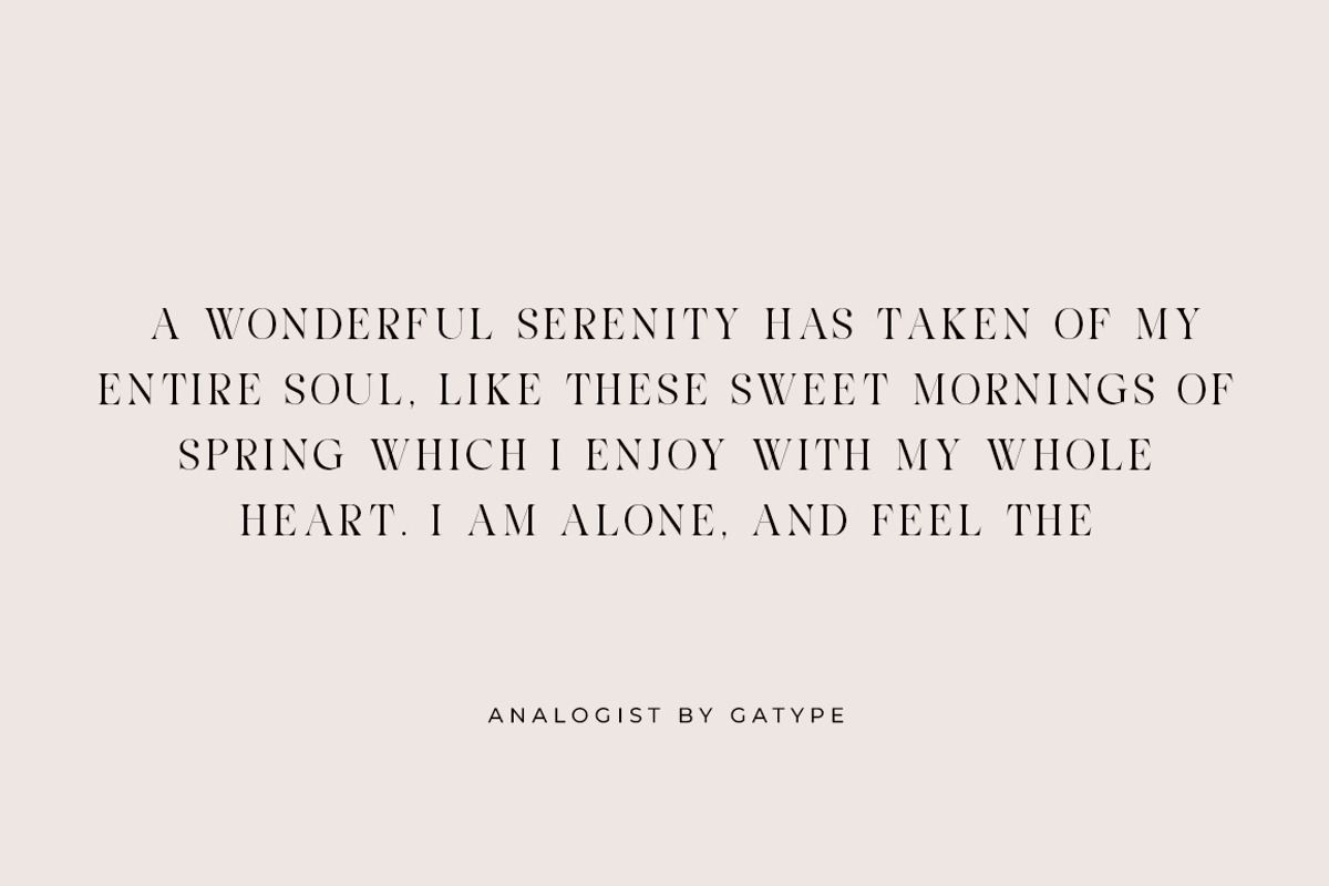 Analogist, a Serif Font by Gatype (Photo 7 of 9)