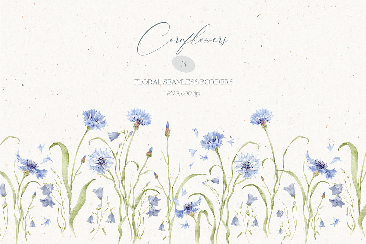 Watercolor Cornflowers, an Illustration by Nastya.Chay (Photo 9 of 10)