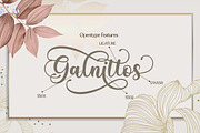 Babylone | Modern Calligraphy, a Script Font by Almeera Std (Thumbnail 6 of 11)