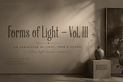 Silkgrove Font, a Serif Font by Letterhanna Studio (Thumbnail 9 of 9)