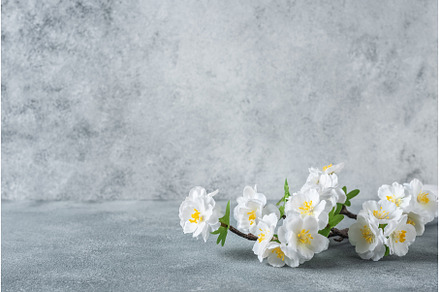 Decorative cherry blossom branch on