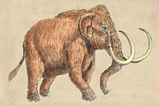 Dinosaurs Watercolor #1  Bundle, an Illustration by Doggy Days (Thumbnail 13 of 14)