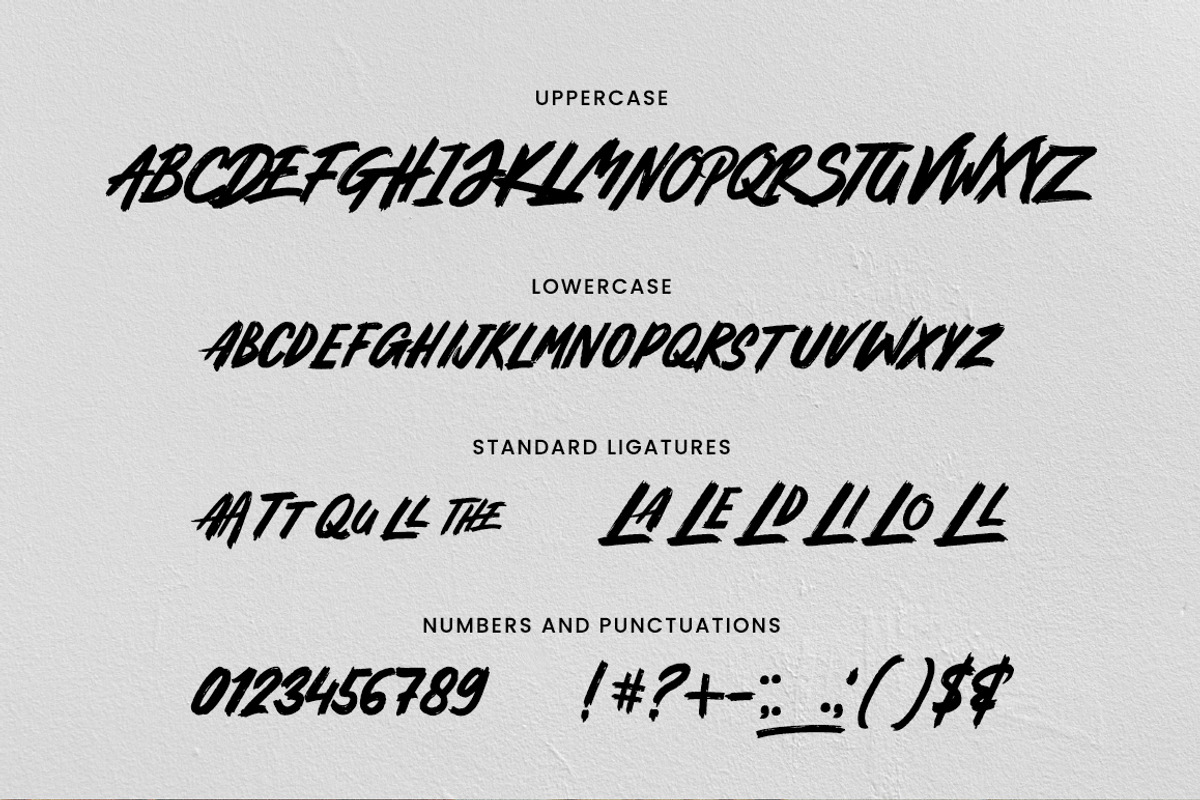 Rivera Brush Font, a Script Font by Shinko Art Studio (Photo 9 of 9)