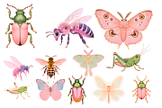 Botanical Bug Clipart Set, an Object Illustration by Jakayla Digital Co (Thumbnail 6 of 7)