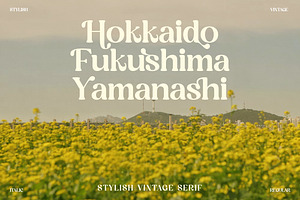 Magisho Stylish Vintage Serif Font