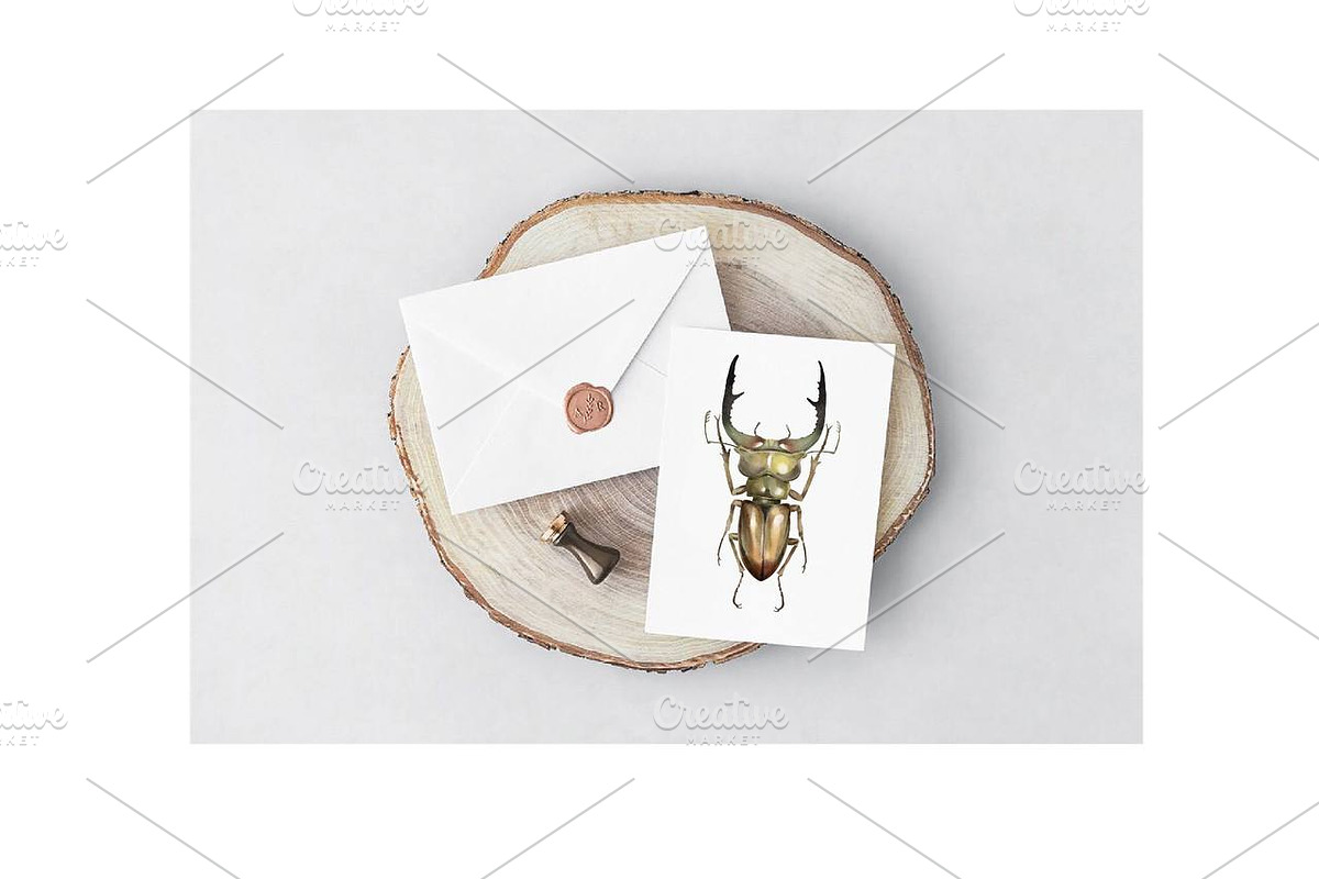 Watercolor Clipart Beetle Insect art, a Decorative Illustration by NKTKNS (Photo 7 of 7)