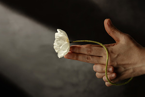 Sign of Peace. Replaced a Gun Hand Sign with a White Poppy Flowe, a Photo by salmon.black