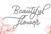Bekafonte Typeface, a Script Font by Barland Design (Thumbnail 3 of 8)