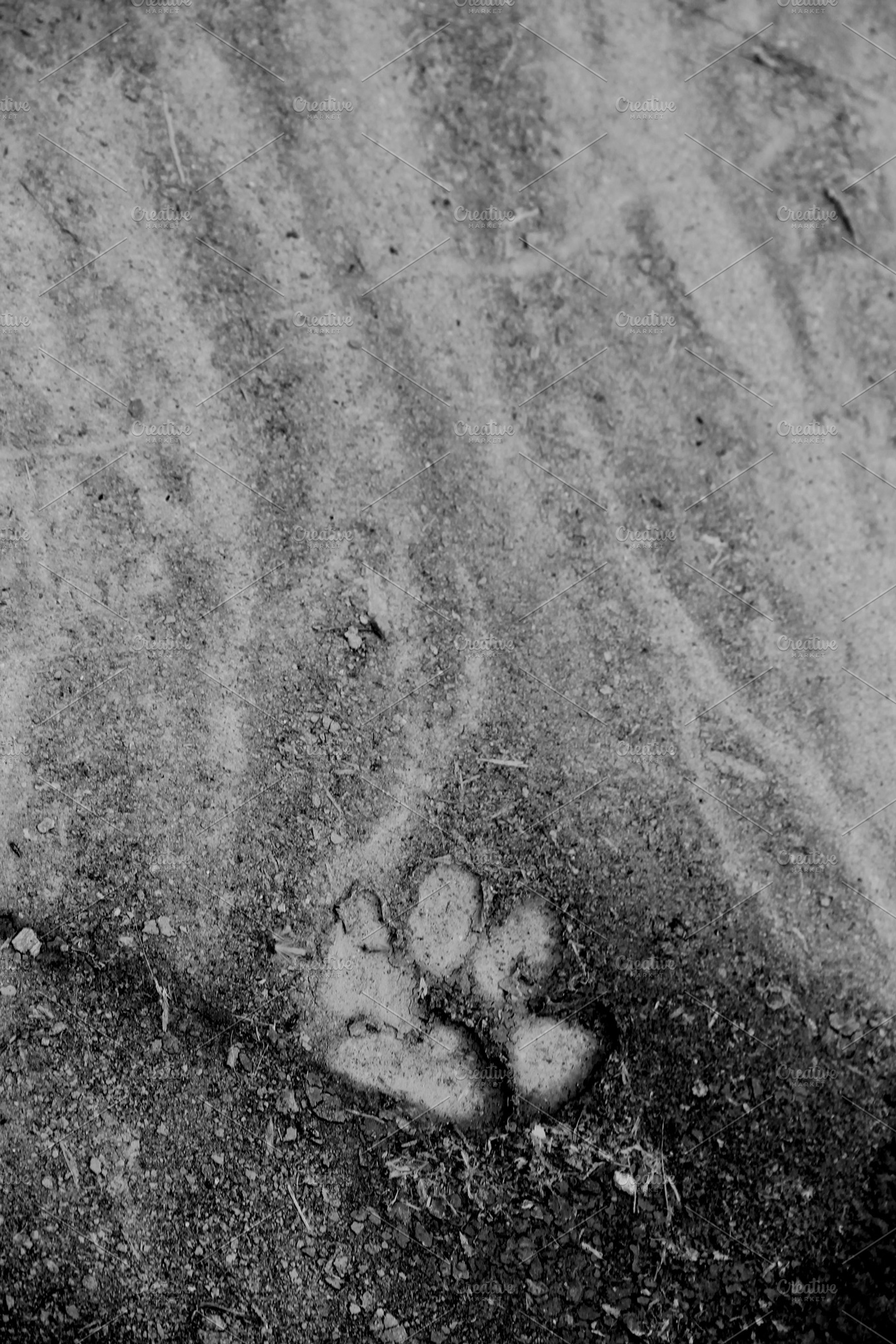 Footprint, a Photo by Coco Blanch' shop