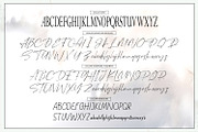 Ceglar, a Serif Font by Black Junst (Thumbnail 27 of 35)