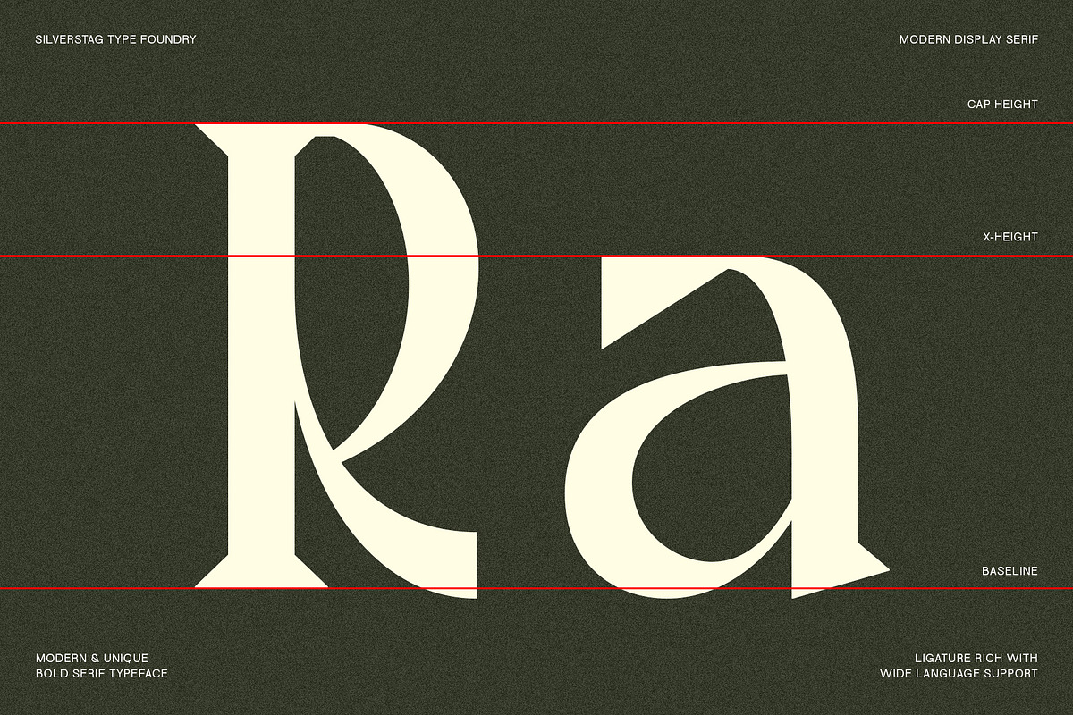 Tangled Rockaway Vintage Serif Font, a Serif Font by SilverStag Type Foundry (Photo 3 of 18)