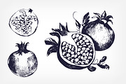 Pomegranates, hand-drawn set, a Decorative Illustration by Good Studio (Thumbnail 2 of 5)