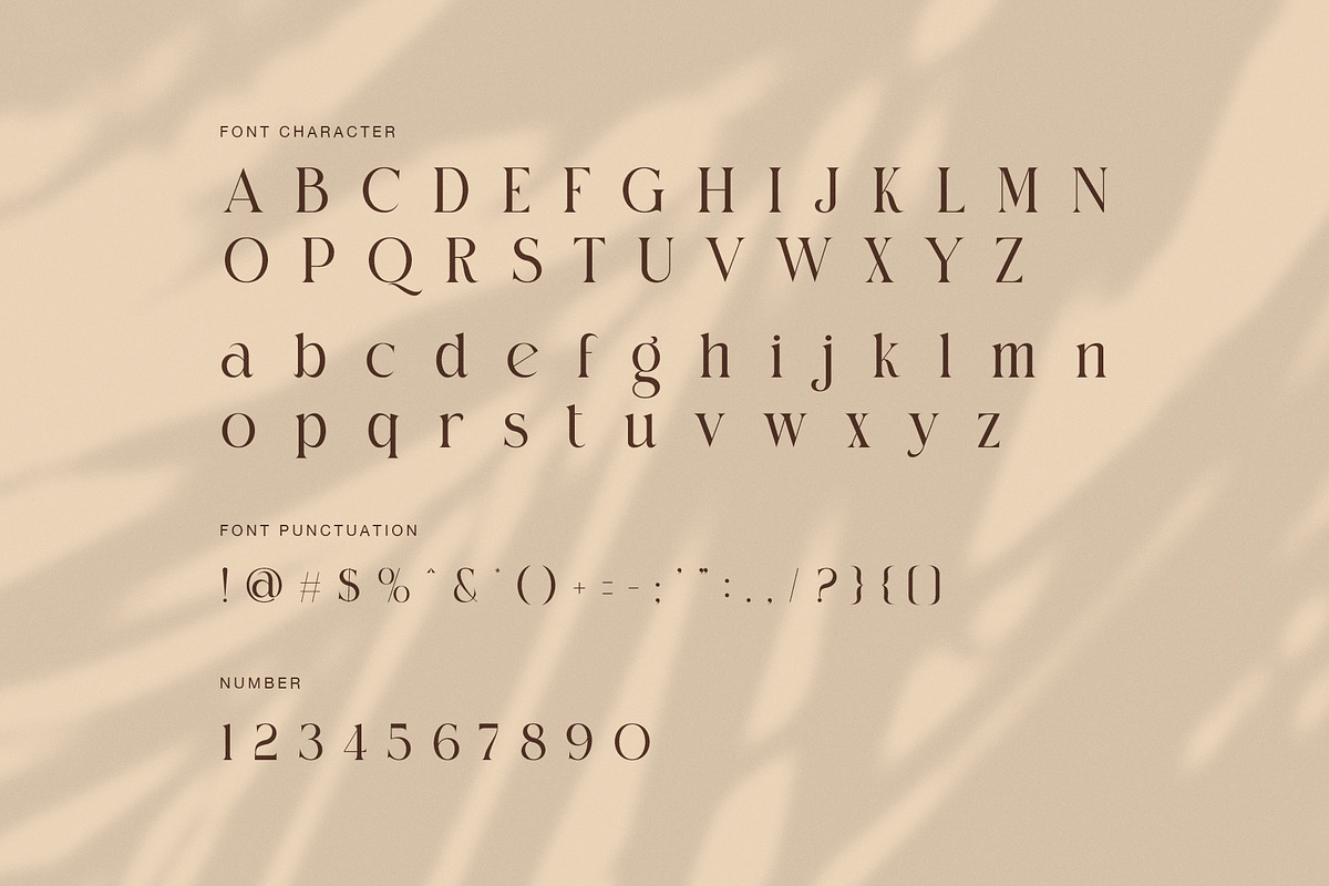 Chose Elegant Ligature Serif Font, a Serif Font by Perfectype (Photo 7 of 8)