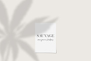 Hemp/Marijuana Shadows & MockUp, a Mockup by Jeanina Vlad (Thumbnail 8 of 17)