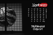 Takashimura Typeface, a Serif Font by alit design (Thumbnail 5 of 18)
