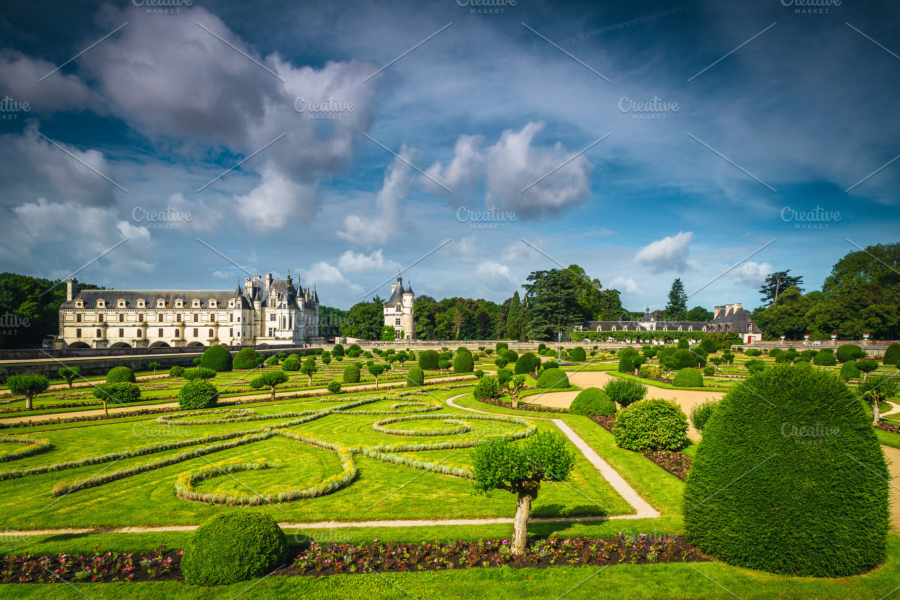 Bushes and plants in the garden, an Architecture Photo by Alpine Dreams