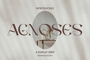 Agnoses - Display Serif