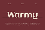 Strage - Luxury Serif Font, a Serif Font by Pandeka Studio (Thumbnail 5 of 9)