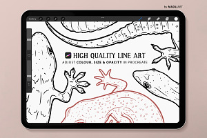 Gecko Procreate Brush Stamps