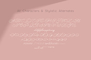 Lovely Monoline Script Font, a Script Font by Anna Zakharchenko (Thumbnail 9 of 10)