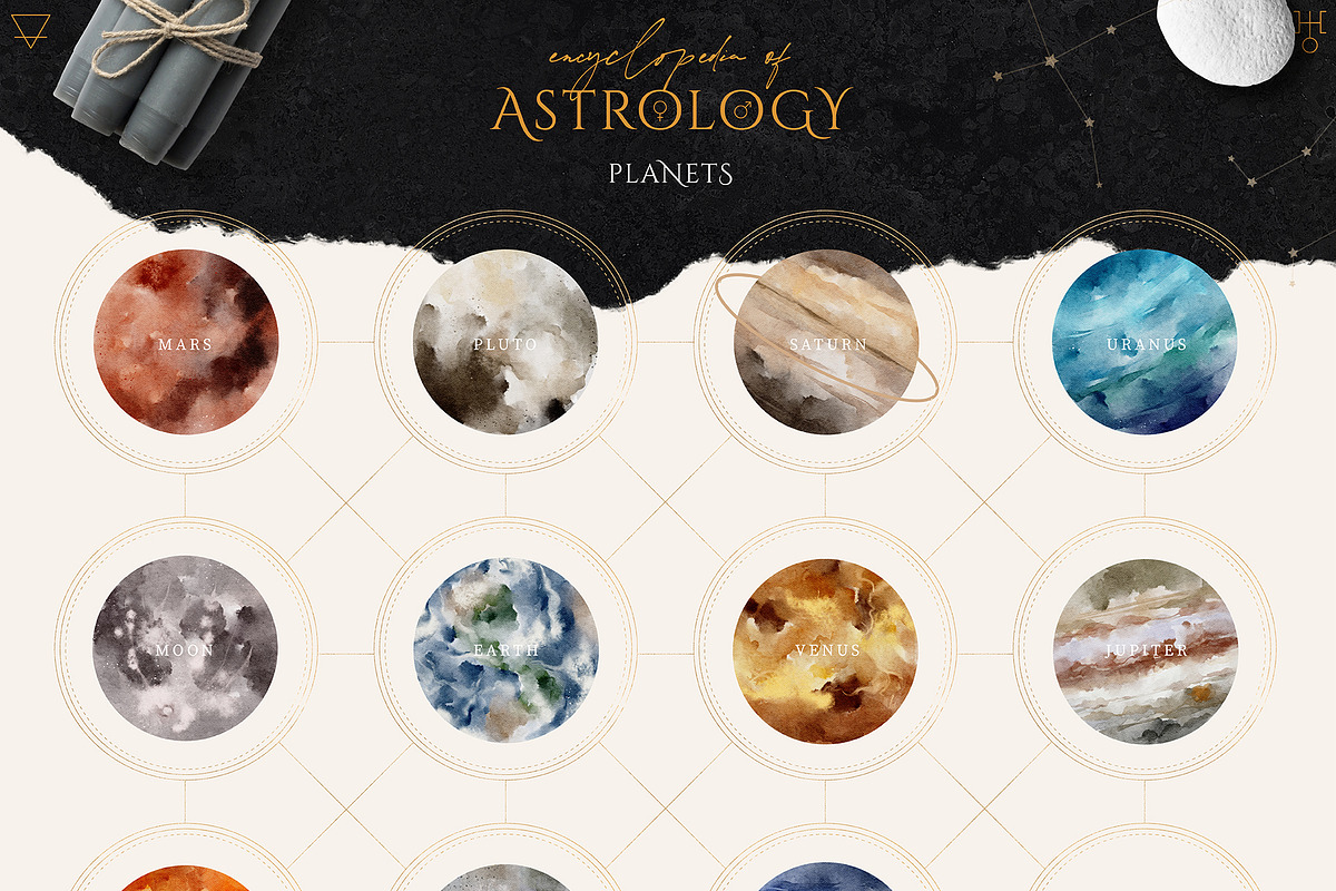 Encyclopedia of Astrology, an Animal Illustration by Julia Dreams (Photo 7 of 14)
