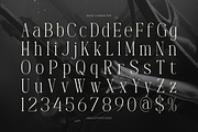 Dennya | Display Serif Font, a Serif Font by gracetype_studio (Thumbnail 10 of 12)