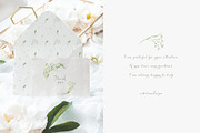 Wildflowers, poppies and herbs, a Food Illustration by astelenadesign (Thumbnail 19 of 19)