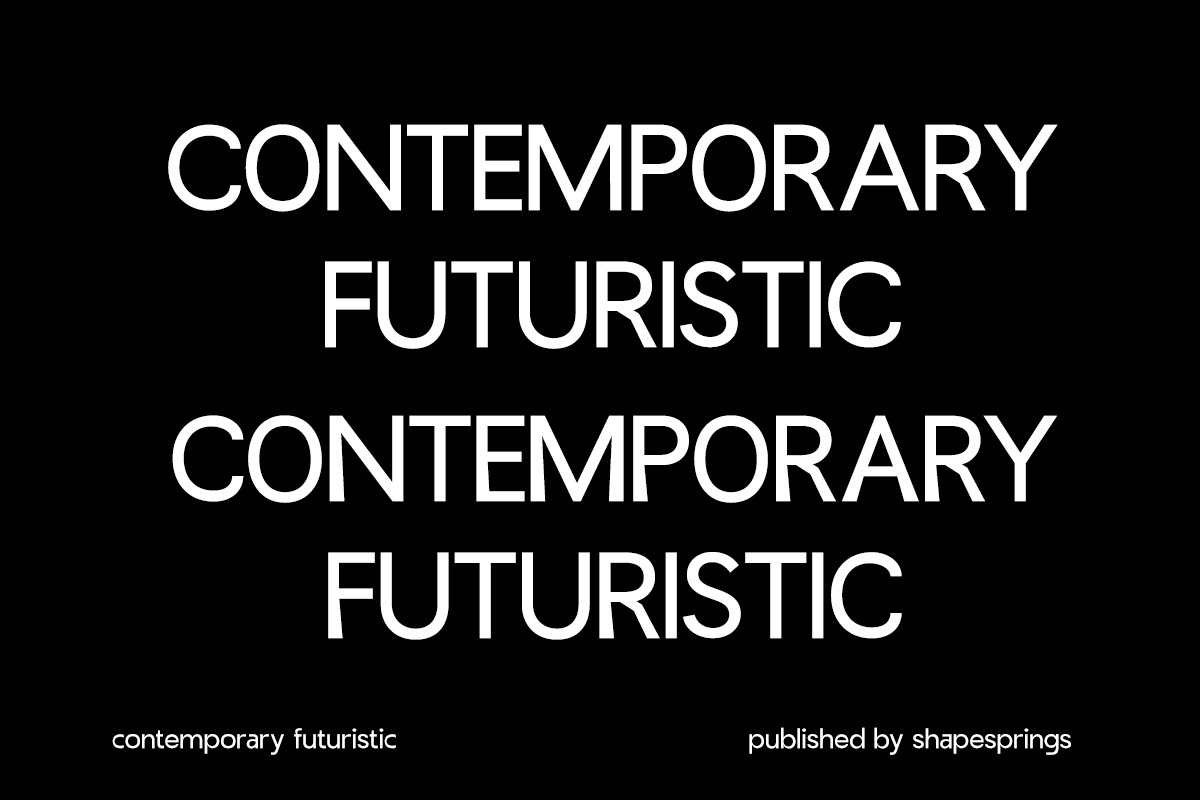 Renial Display, a Sans Serif Font by rejazer (Photo 11 of 11)