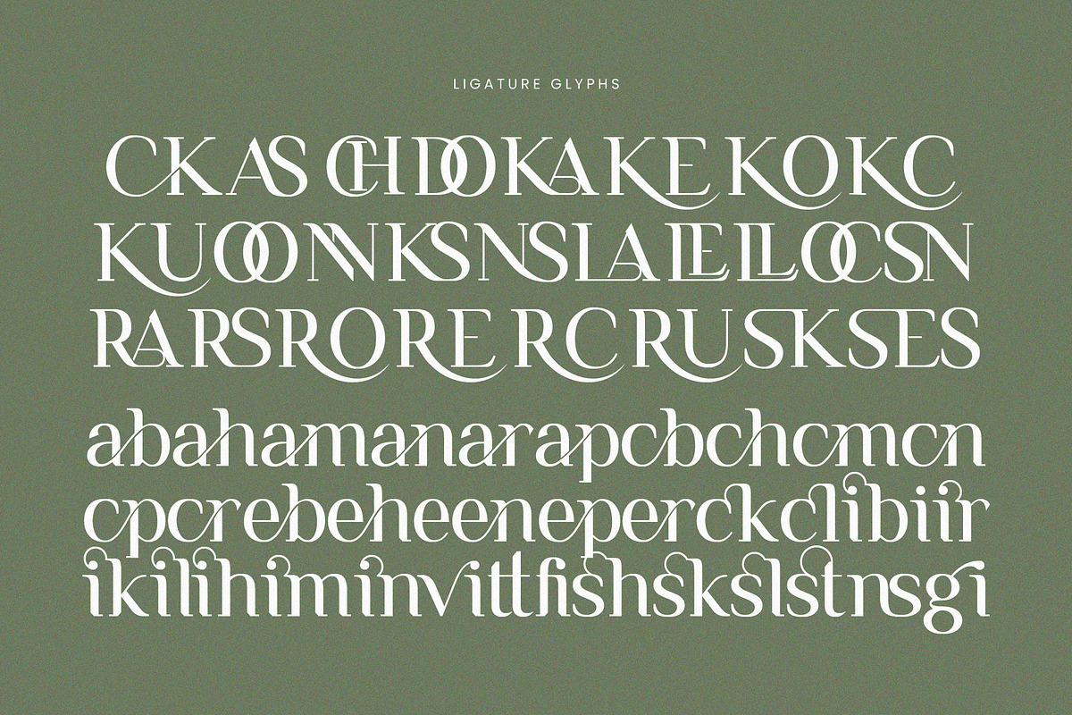 Remains Stepping Ligature Serif Font, a Serif Font by Graphicxell (Photo 17 of 17)