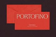 Stylish Aesthetic Typeface, a Sans Serif Font by Nicky Laatz (Thumbnail 11 of 29)